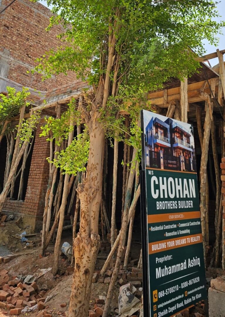 chohan brother builders project 3.1