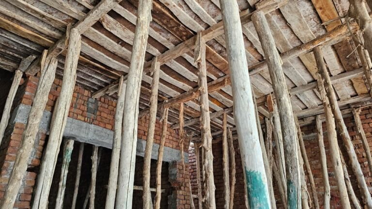 chohan brother builders project 31)